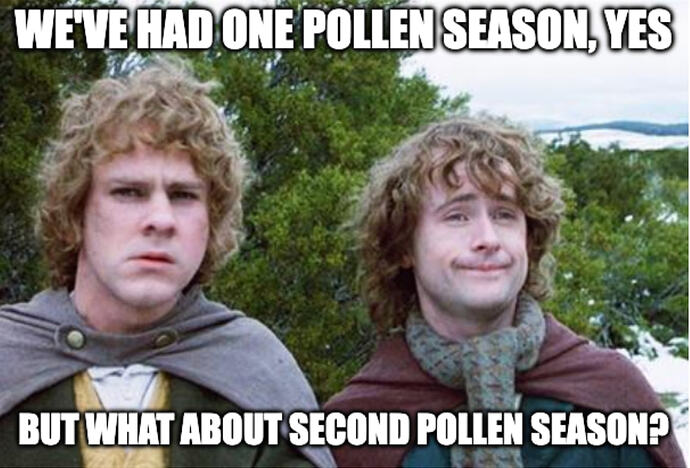 "I don't think he knows about second pollen season, Pip."